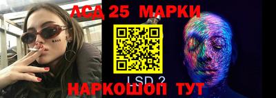 гидра Заводоуковск