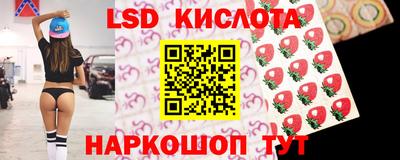 гидра Заводоуковск