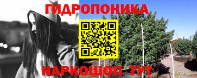 шишки Жуковский