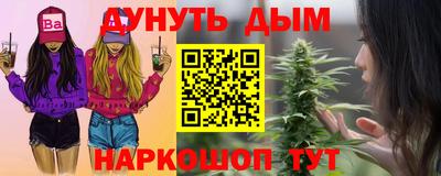 гидра Заводоуковск