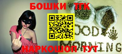 гидра Заводоуковск