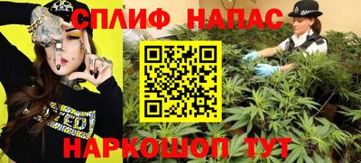 гидра Заводоуковск