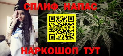 гидра Заводоуковск