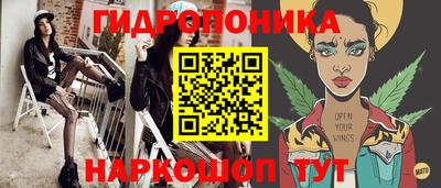 гидра Заводоуковск