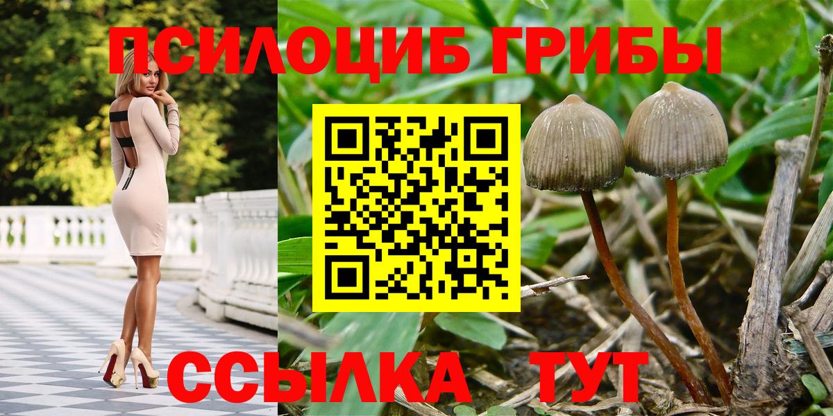 Кумертау  МАРИХУАНА  Вход с VPN  ГАШИШ  Мефедрон  