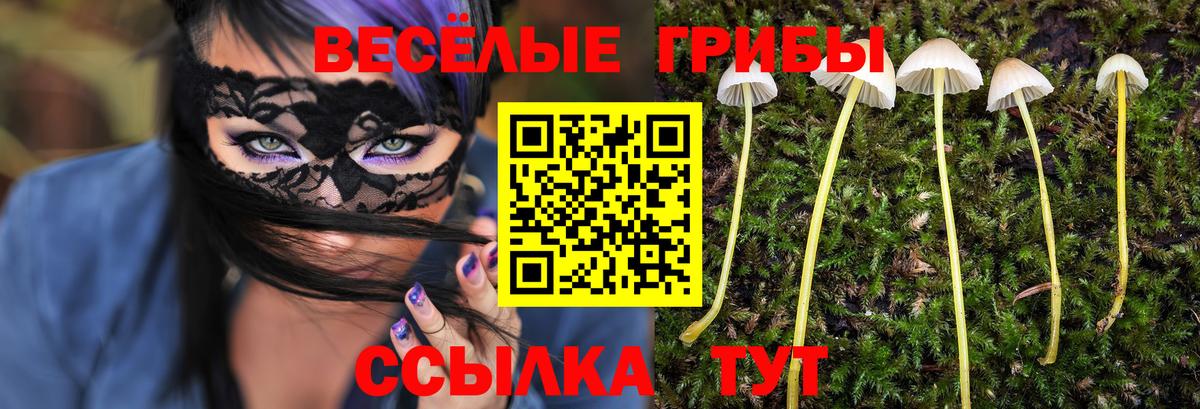 Псилоцибиновые грибы ЛСД  Вход с VPN  Кумертау  Псилоцибиновые грибы Magic Shrooms 