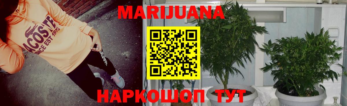 Кумертау  Бошки марихуана ГИДРОПОН  Каннабис сатива  МАРИХУАНА White Widow  Вход с VPN 